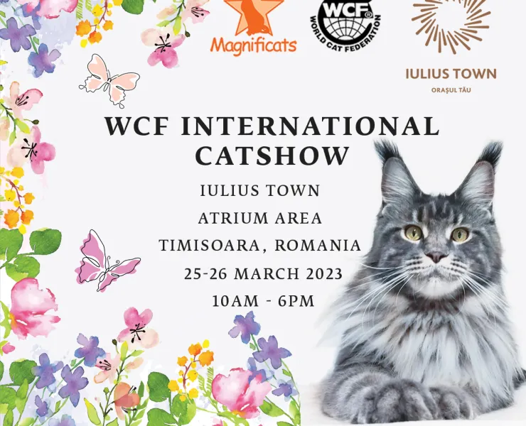 WCF International Cat Show